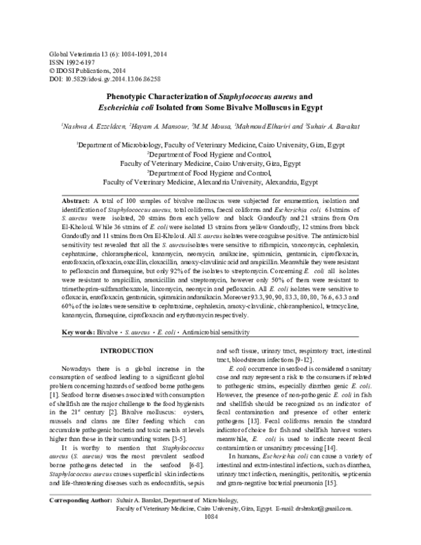 (PDF) Molecular and Phenotypic Characterization of Escherichia coli ...