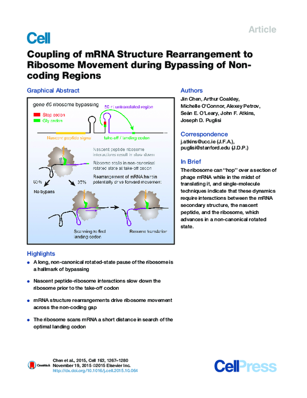 (PDF) Coupling of mRNA Structure Rearrangement to Ribosome Movement ...