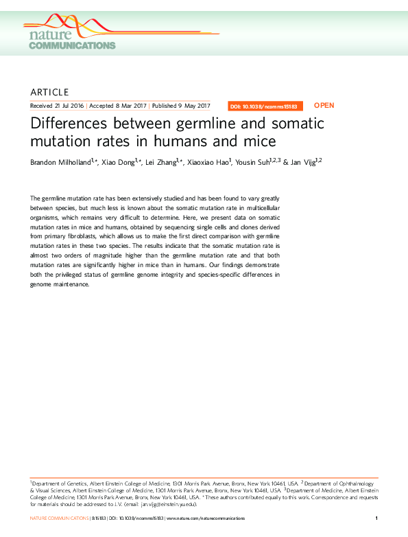 (PDF) Differences between germline and somatic mutation rates in humans ...