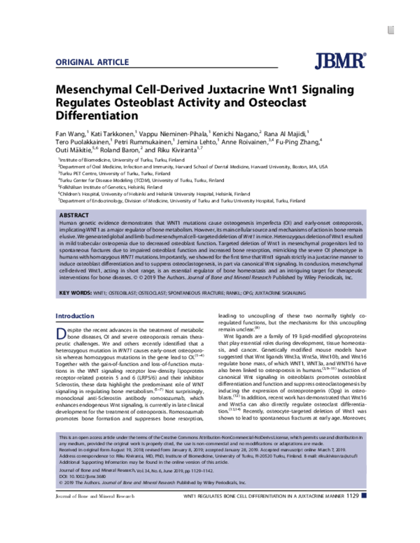 (PDF) Mesenchymal Cell‐Derived Juxtacrine Wnt1 Signaling Regulates ...