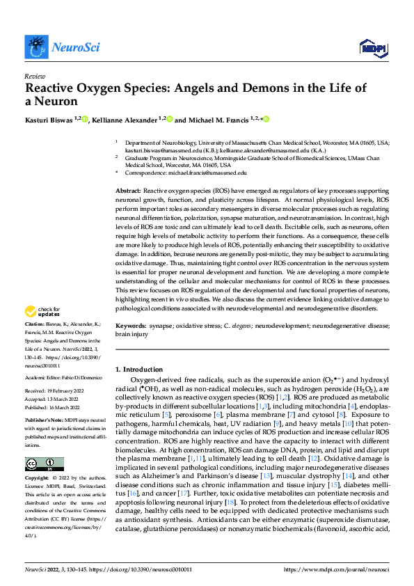(PDF) Reactive Oxygen Species: Angels and Demons in the Life of a Neuron
