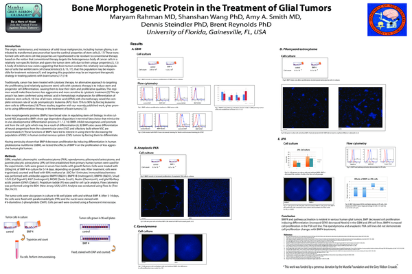 (PDF) Bone Morphogenetic Protein in the Treatment of Glial Tumors