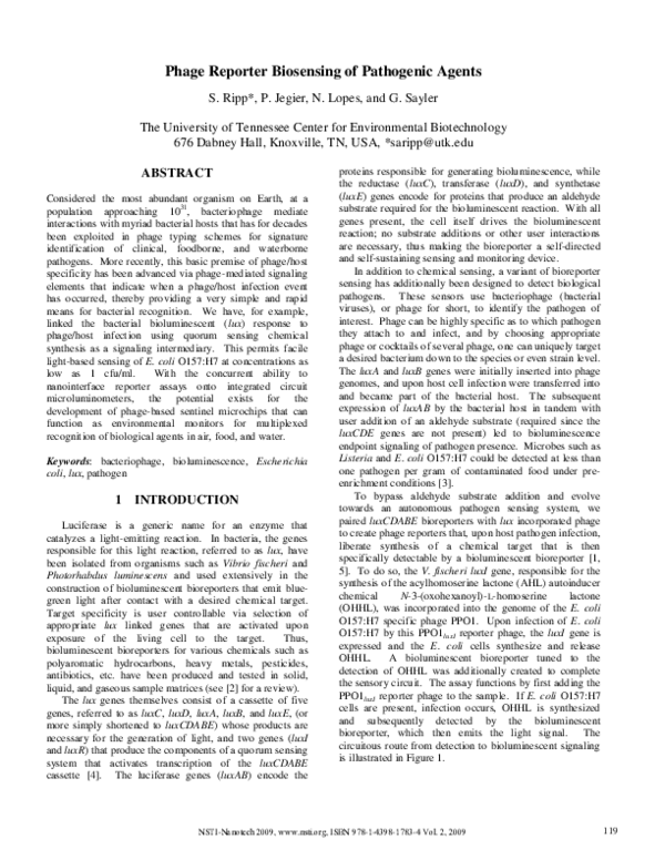 (PDF) Phage Reporter Biosensing of Pathogenic Agents