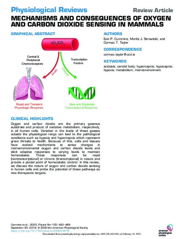 (PDF) Mechanisms and Consequences of Oxygen and Carbon Dioxide Sensing ...