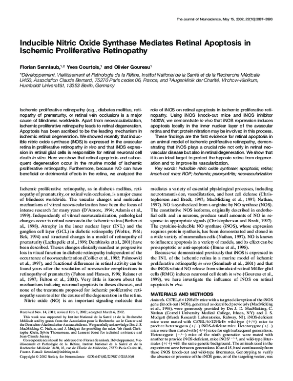 (PDF) Inducible Nitric Oxide Synthase Mediates Retinal Apoptosis in ...