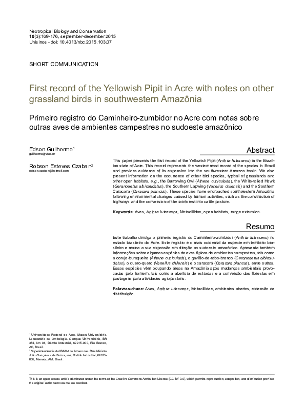 (PDF) First record of the Yellowish Pipit in Acre with notes on other ...