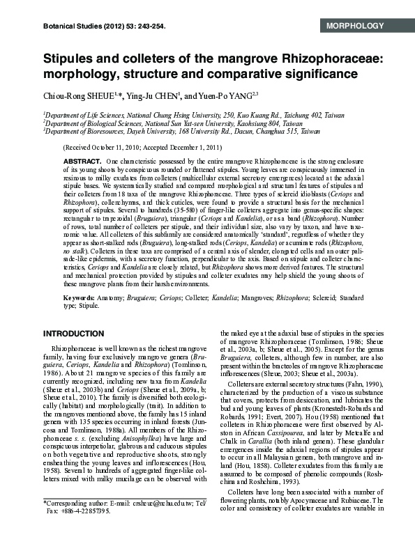 (PDF) Stipules and Colleters of the Mangrove Rhizophoraceae: Morphology ...