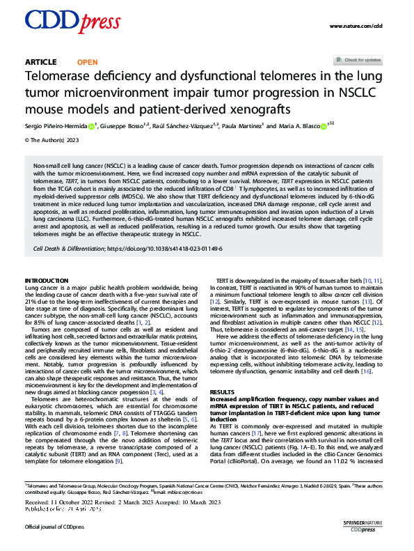(PDF) Telomerase deficiency and dysfunctional telomeres in the lung ...