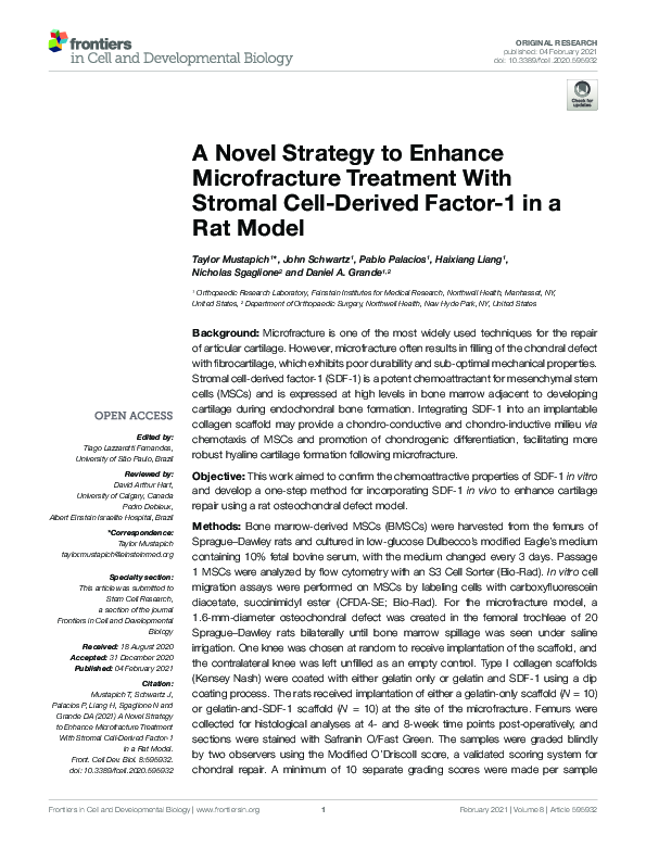 (PDF) A Novel Strategy to Enhance Microfracture Treatment With Stromal ...