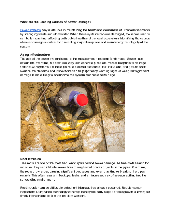 (PDF) What are the Leading Causes of Sewer Damage