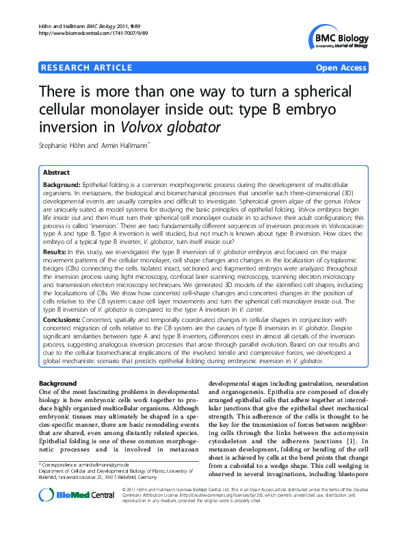 (PDF) There is more than one way to turn a spherical cellular monolayer ...
