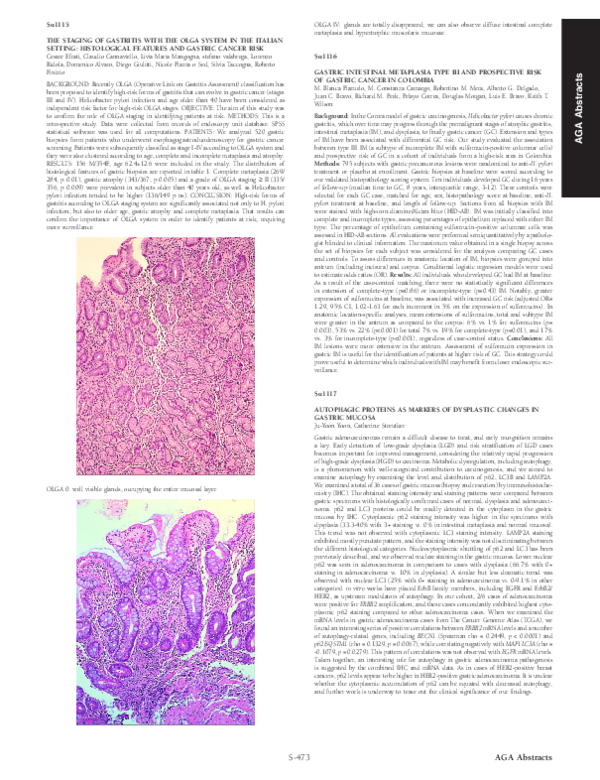 (PDF) The Staging of Gastritis with the Olga System in the Italian ...