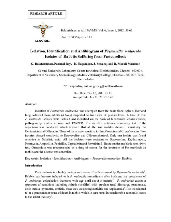 (PDF) ISOLATION, IDENTIFICATION AND ANTIBIOGRAM OF Pasteurella ...