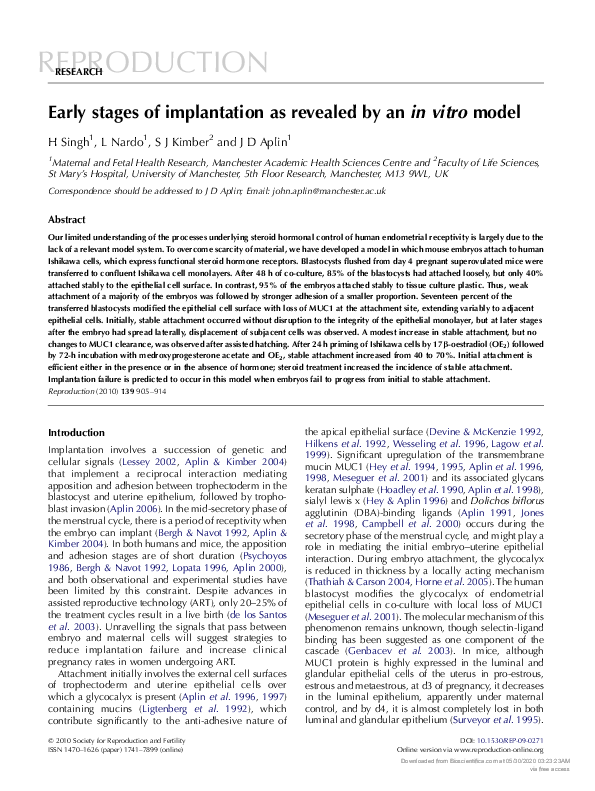 (PDF) Early stages of implantation as revealed by an in vitro model