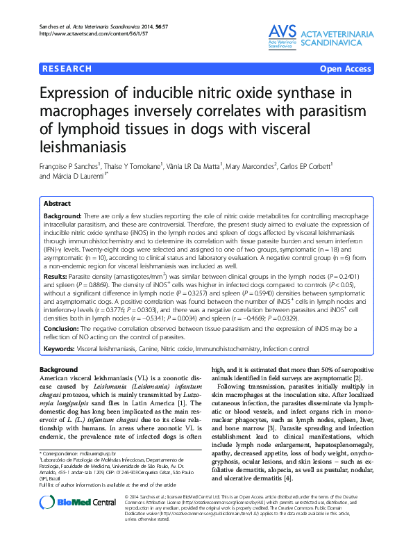 (PDF) Expression of inducible nitric oxide synthase in macrophages ...