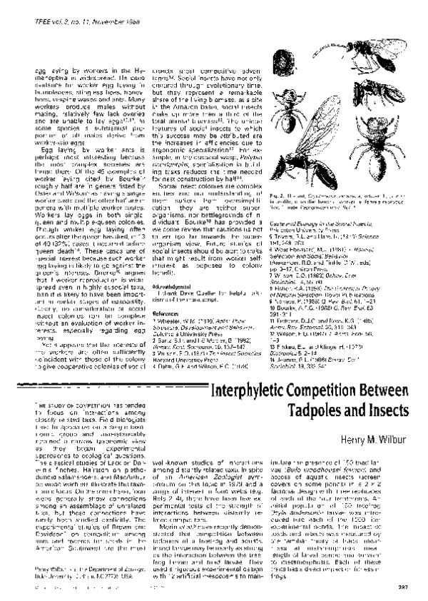 (PDF) Interphyletic competition between tadpoles and insects