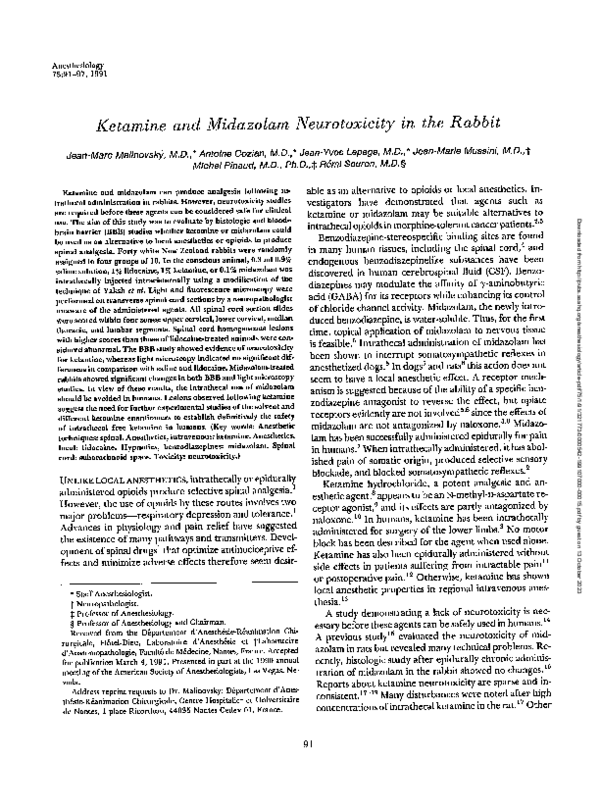 (PDF) Ketamine and Midazolam Neurotoxicity in the Rabbit