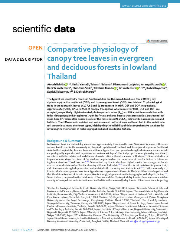 (PDF) Comparative physiology of canopy tree leaves in evergreen and ...