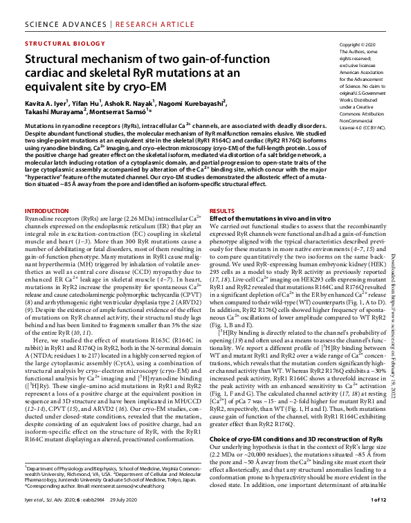 (PDF) Structural mechanism of two gain-of-function cardiac and skeletal ...