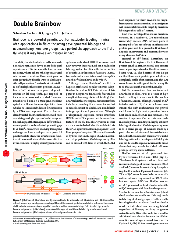 (PDF) Double Brainbow
