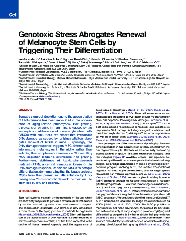 (PDF) Genotoxic Stress Abrogates Renewal of Melanocyte Stem Cells by ...