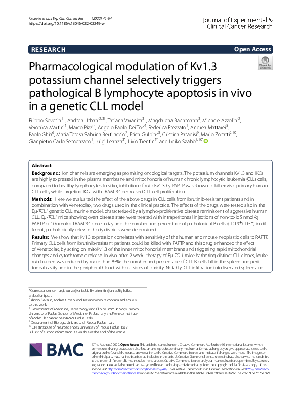(PDF) Pharmacological modulation of Kv1.3 potassium channel selectively ...