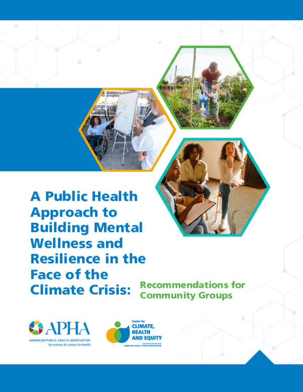 (PDF) A Public Health Approach to Building Mental Wellness and ...