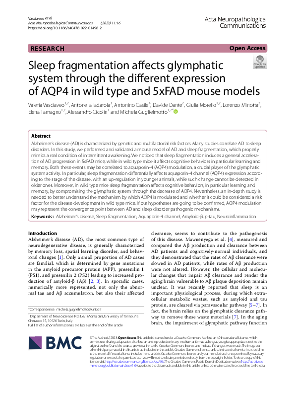 (PDF) Sleep fragmentation affects glymphatic system through the ...
