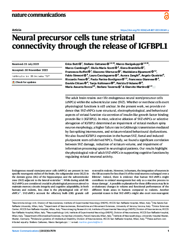 (PDF) Neural precursor cells tune striatal connectivity through the ...