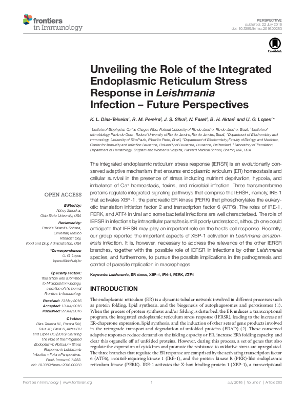 (PDF) Unveiling the Role of the Integrated Endoplasmic Reticulum Stress ...