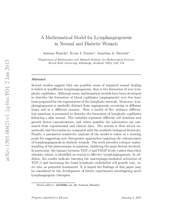 (PDF) A mathematical model for lymphangiogenesis in normal and diabetic ...