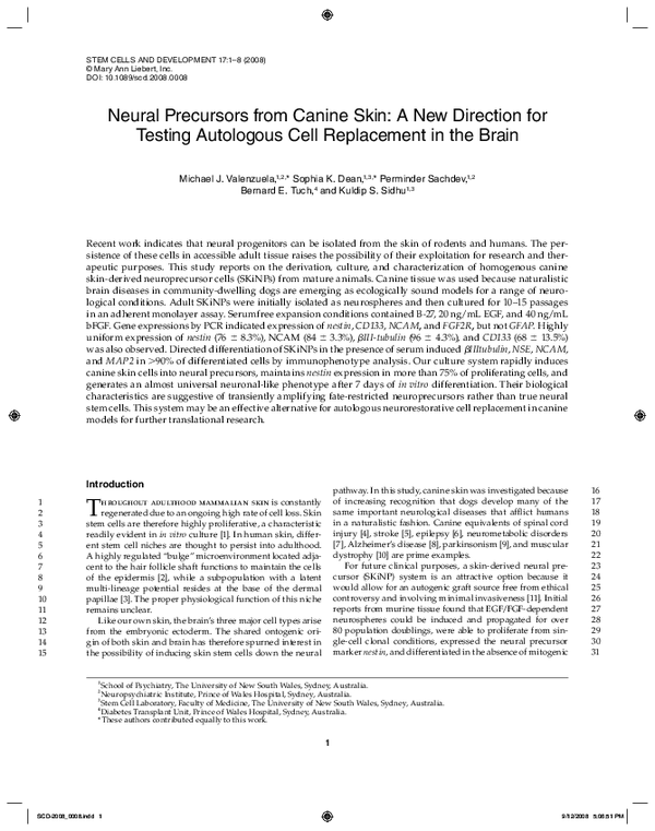 (PDF) Neural Precursors from Canine Skin: A New Direction for Testing ...