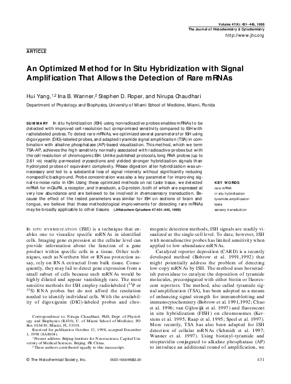 (PDF) An Optimized Method for In Situ Hybridization with Signal ...