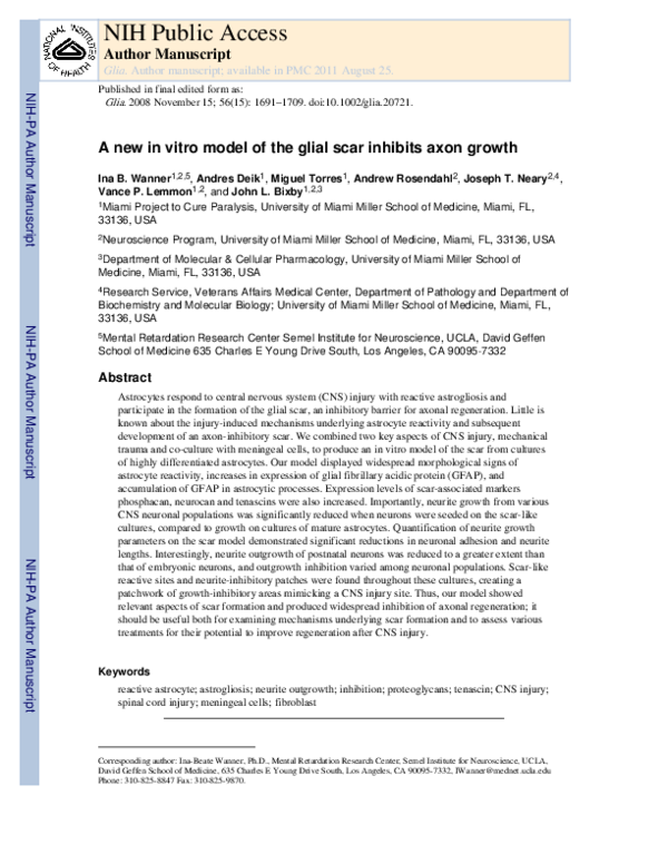 (PDF) A newin vitromodel of the glial scar inhibits axon growth