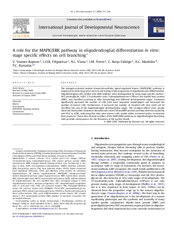 (PDF) A role for the MAPK/ERK pathway in oligodendroglial ...