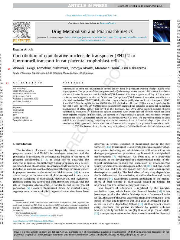 (PDF) Contribution of equilibrative nucleoside transporter (ENT) 2 to ...