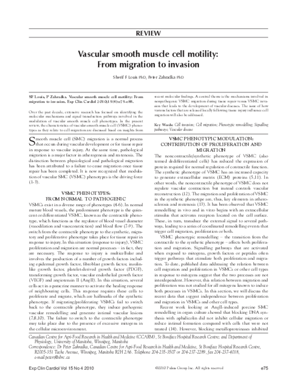 (PDF) Vascular smooth muscle cell motility: From migration to invasion