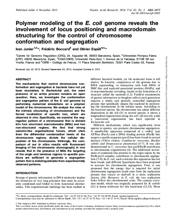 (PDF) Polymer modeling of the E. coli genome reveals the involvement of ...
