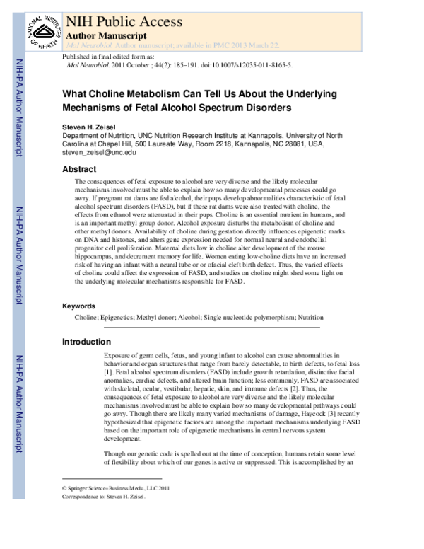 (PDF) What Choline Metabolism Can Tell Us About the Underlying ...