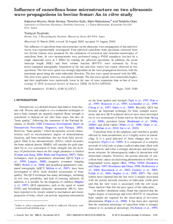 (PDF) Influence of cancellous bone microstructure on two ultrasonic ...