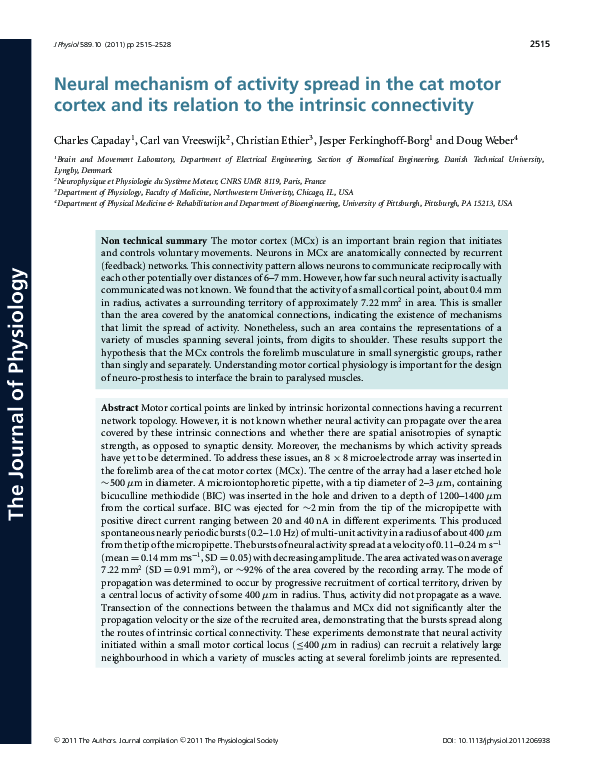 (PDF) Neural mechanism of activity spread in the cat motor cortex and ...