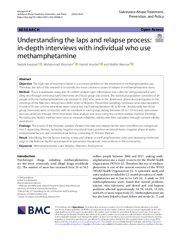 (PDF) Understanding the laps and relapse process: in-depth interviews ...