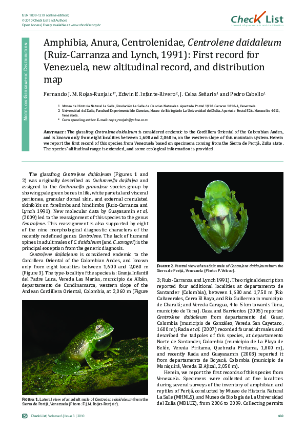 (PDF) Amphibia, Anura, Centrolenidae, Centrolene daidaleum (Ruiz ...