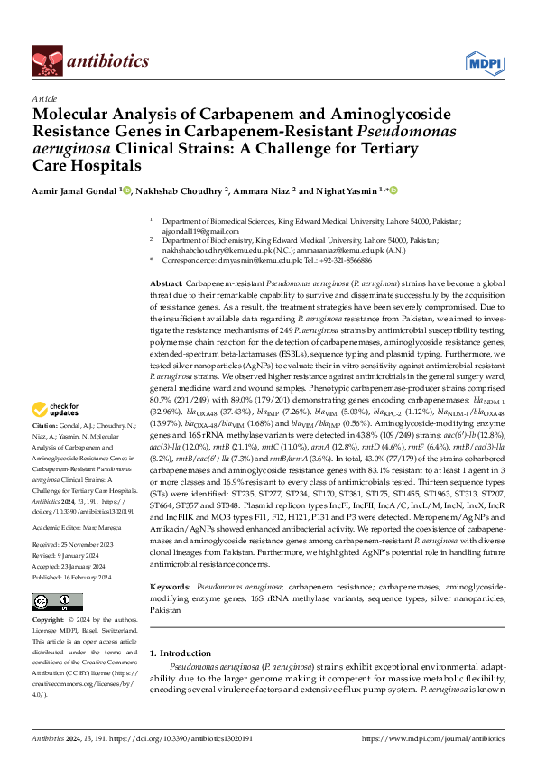 (PDF) Molecular Analysis of Carbapenem and Aminoglycoside Resistance ...