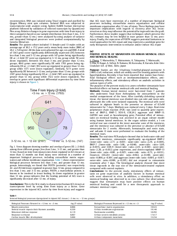 (PDF) Positive effects of simvastatin on human meniscal cells and ...
