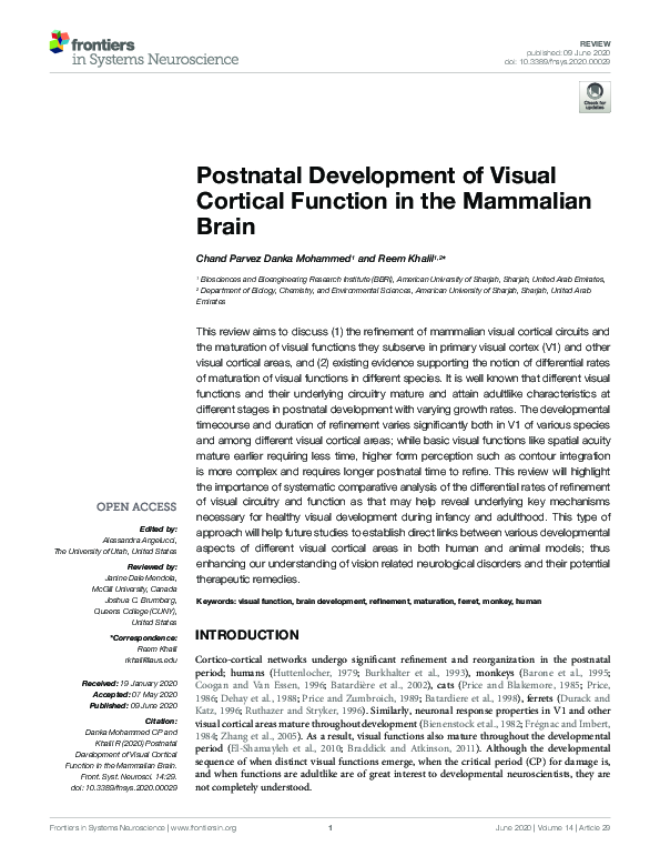 (PDF) Postnatal Development of Visual Cortical Function in the ...