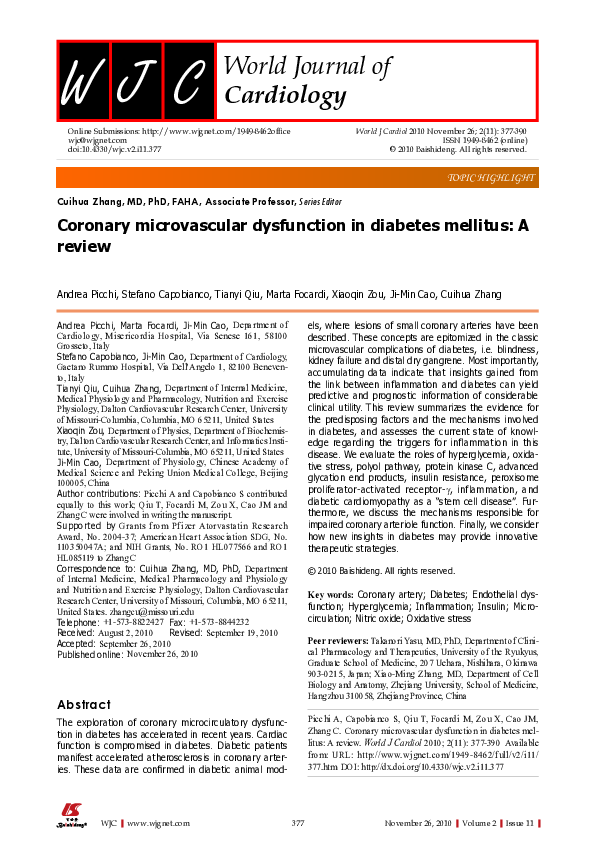 (PDF) Coronary microvascular dysfunction in diabetes mellitus: A review