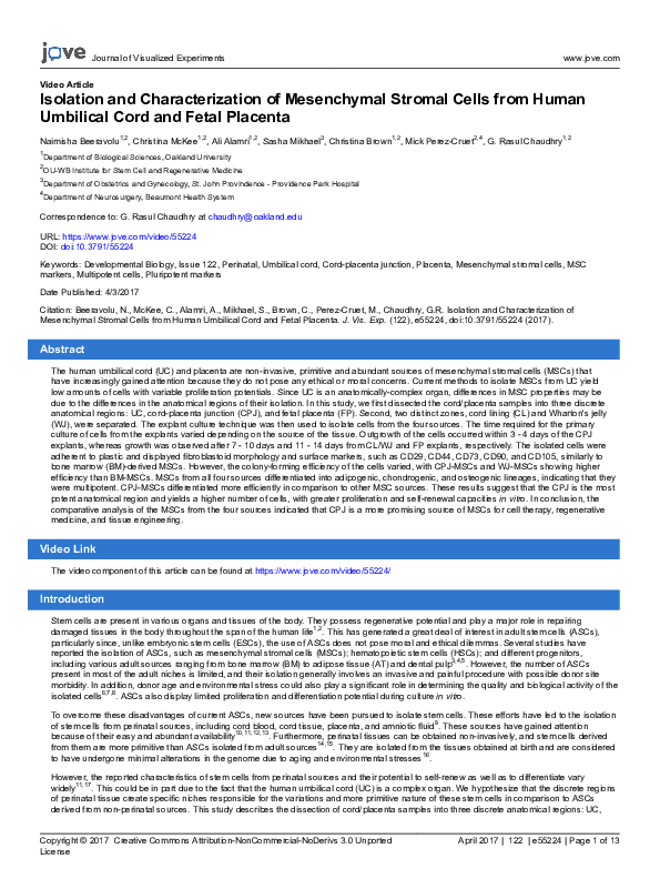 (PDF) Isolation and Characterization of Mesenchymal Stromal Cells from ...