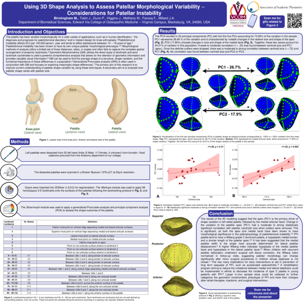 (PDF) Using 3D Shape Analysis to Assess Patellar Morphological ...