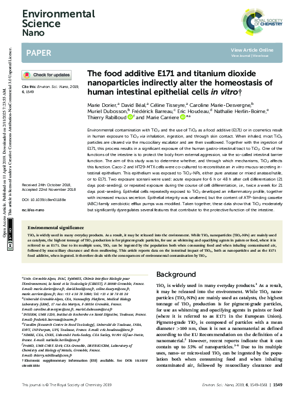 (PDF) The food additive E171 and titanium dioxide nanoparticles ...